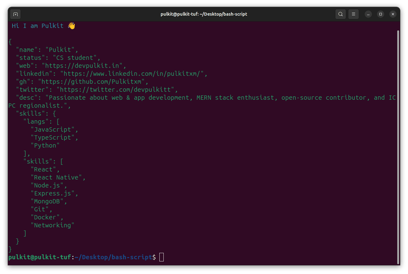 How I Created npx devpulkit to Share My Details